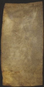 135 C.10.CXXXVv, Investitura fatta da Wiberto vescovo a favore di Martino, Pietro, Giovanni ed Andrea, fratelli, e di alcuni altri, Modena, [1048, lug. 5-8]